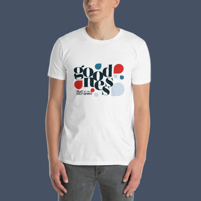 Fruit HS - Goodness Premium T-shirt